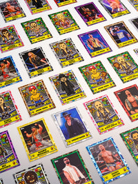 BAPE X WWE Blind Box Trading Cards