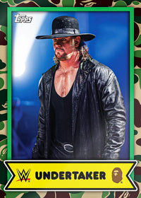 BAPE X WWE Blind Box Trading Cards