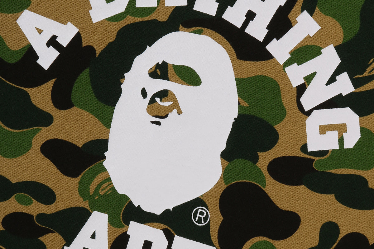 ABC CAMO COLLEGE PULLOVER HOODIE