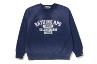 DESTROY WASHED EFFECT RELAXED FIT CREWNECK SWEATSHIRT