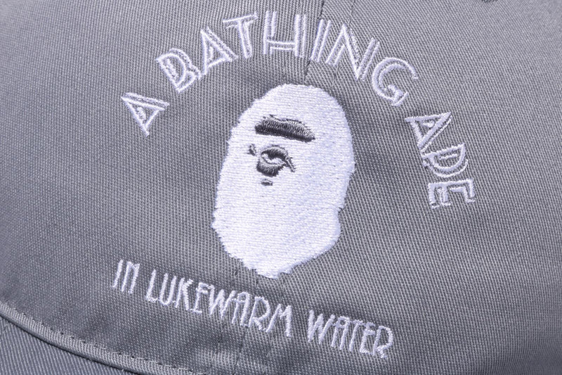 A BATHING APE PANEL CAP