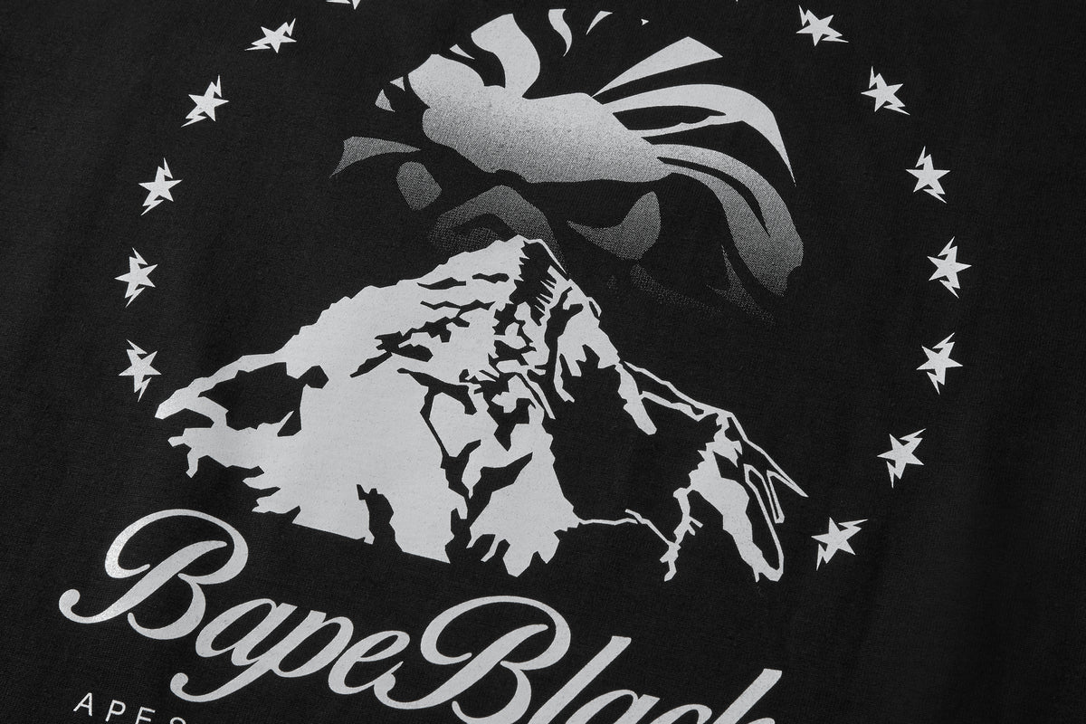 BAPE BLACK MOUNTAIN POCKET TEE