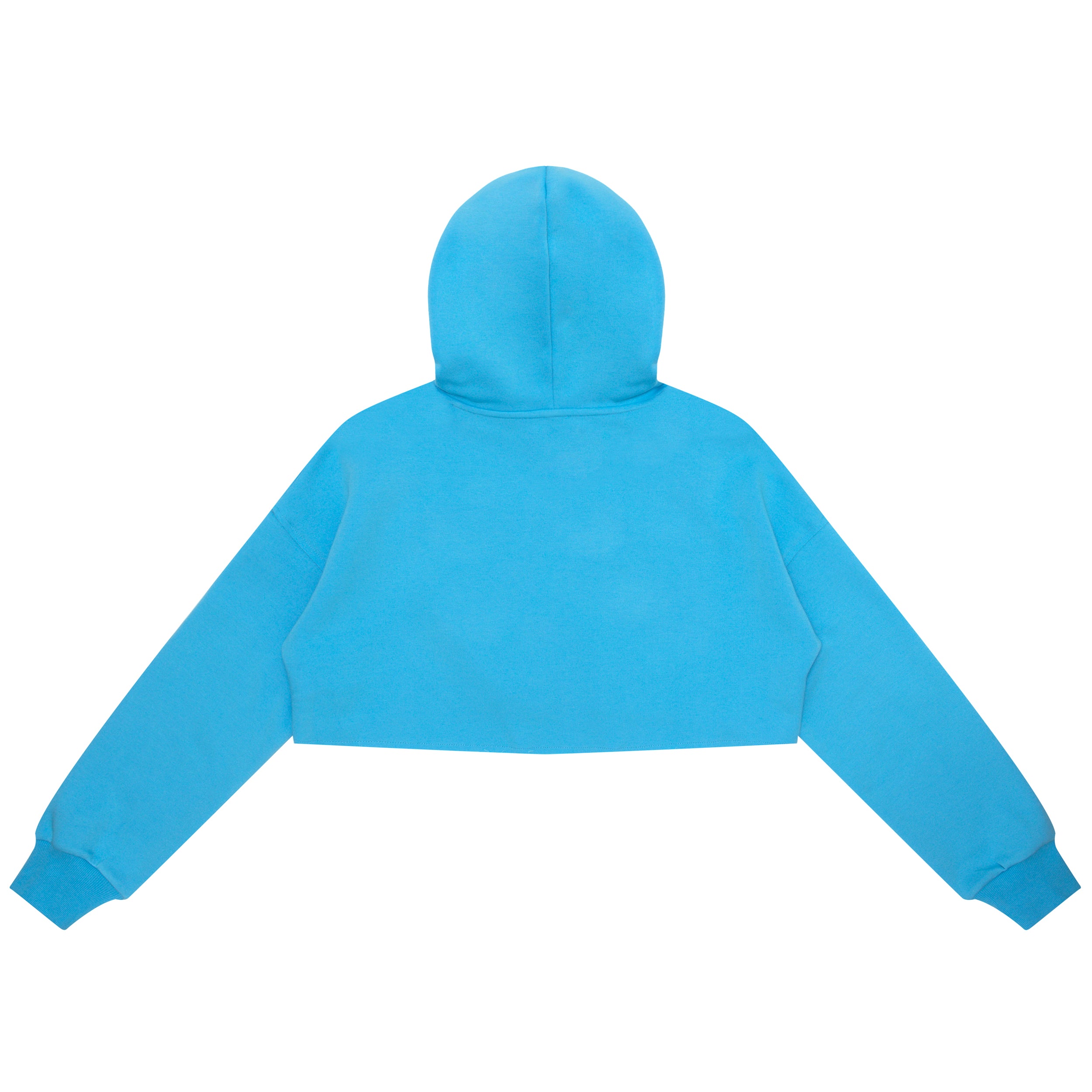 Bape baby clearance blue hoodie